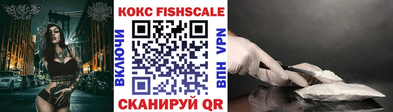Кокаин FishScale  продажа наркотиков  МЕГА как войти  Орлов 