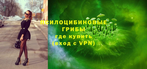 соль курить ск Алзамай