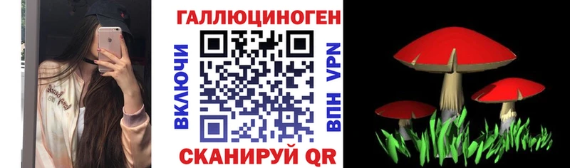 Псилоцибиновые грибы мицелий  Орлов 